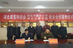 FdL롰pfӒƷ(w)I(y){(dio)п 